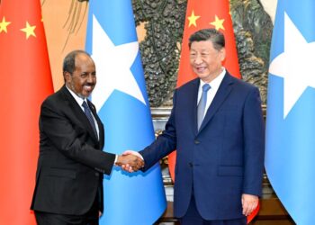 China, Somalia upgrade ties to strategic partnership