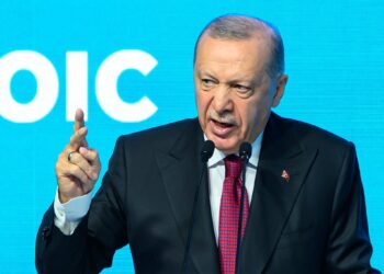 Erdoğan condemns Israel while affirming support for Palestine