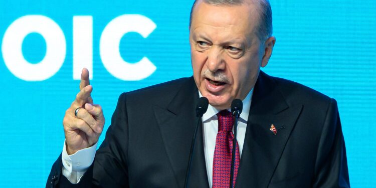 Erdoğan condemns Israel while affirming support for Palestine