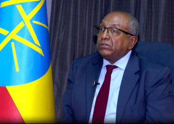 Ethiopia must secure sea access peacefully to sustain growth, scholar warns