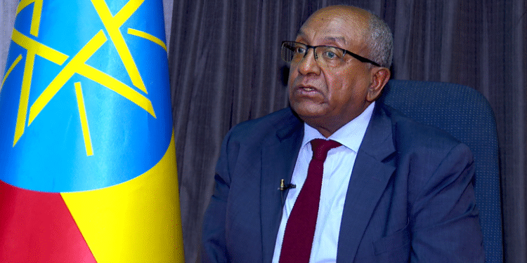 Ethiopia must secure sea access peacefully to sustain growth, scholar warns