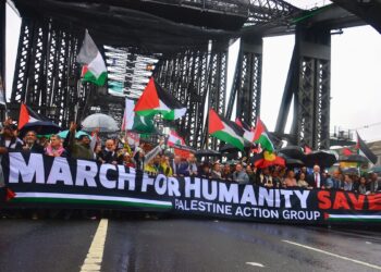 Pro-Palestine Protests: A Global Movement Shaping Political Decisions