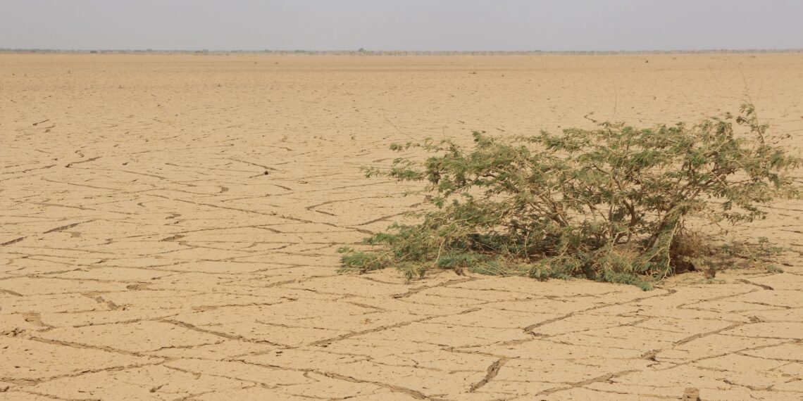 Severe drought expands across Somalia as millions face crisis