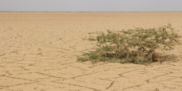 Severe drought expands across Somalia as millions face crisis