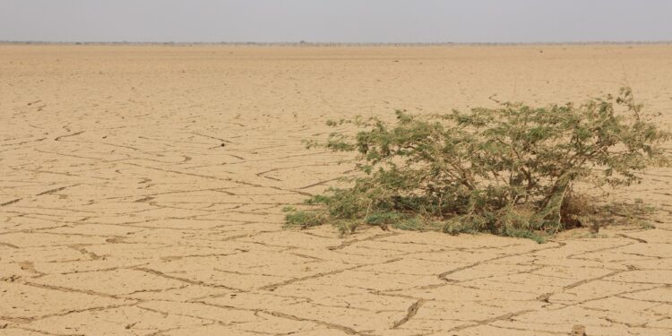 Severe drought expands across Somalia as millions face crisis