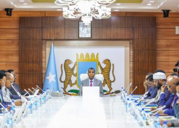 Somalia ends all agreements with UAE