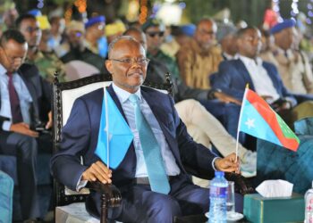 Southwest State vote deepens Somalia legitimacy crisis