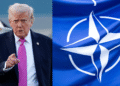 rump blasts NATO over support in Iran war crisis