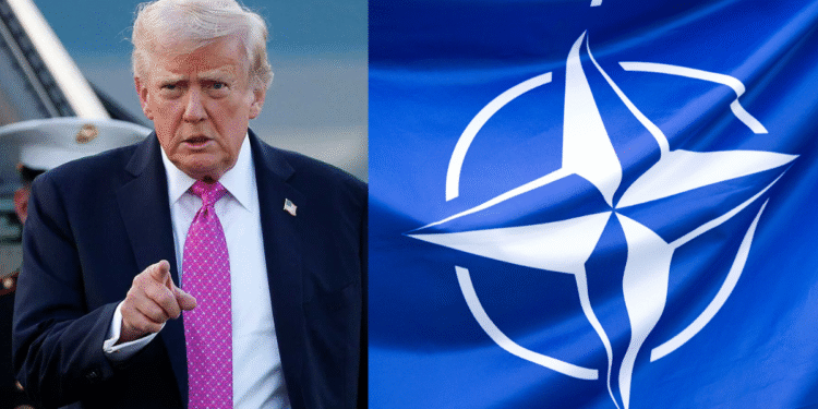 rump blasts NATO over support in Iran war crisis
